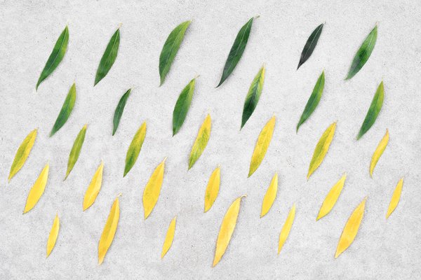 Dépasser l'appréhension de l'entrée en 6ème : Conseils pour favoriser l'épanouissement académique et personnel de votre enfant