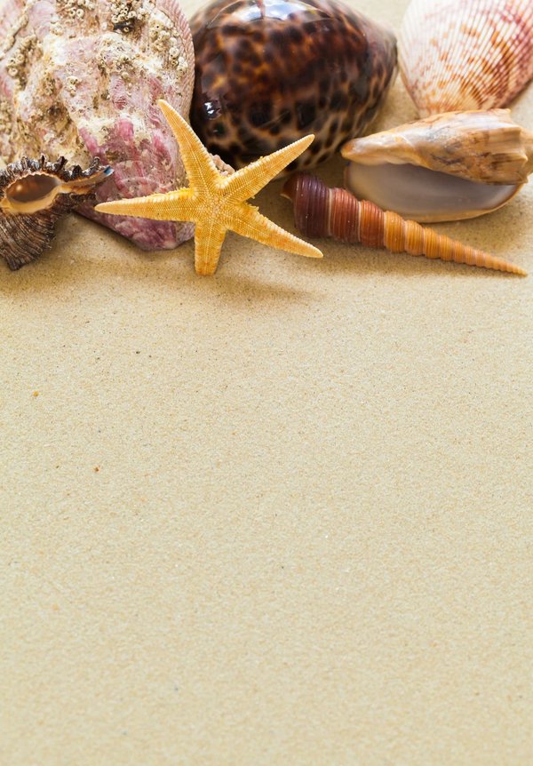 Camping Finistère Nord : pour des nuits paisibles et reposantes